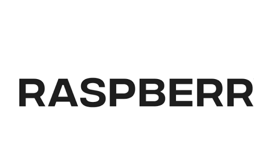 Raspberry AI